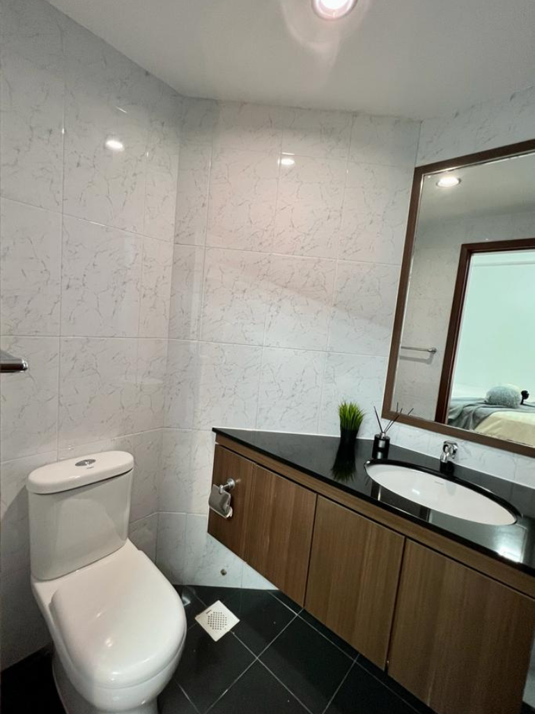 toilet resized
